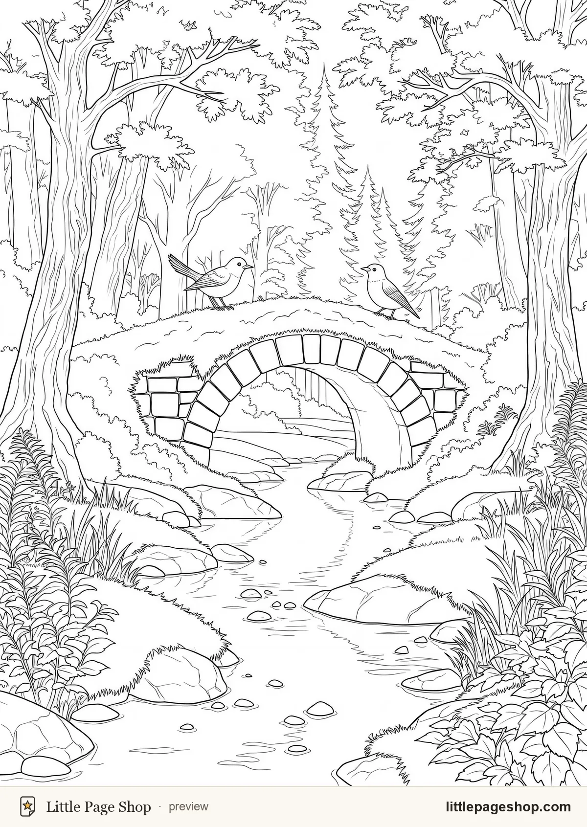 Toadstool Villages — coloring page 7: A humpbacked bridge over the village brook